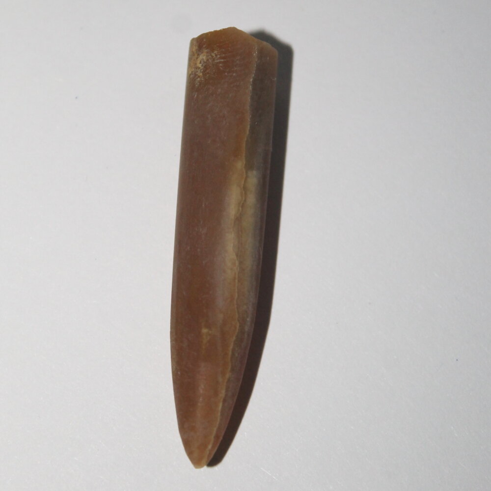 Белемнит ископаемое, коллекционный образец "True Stones" - фотография № 5
