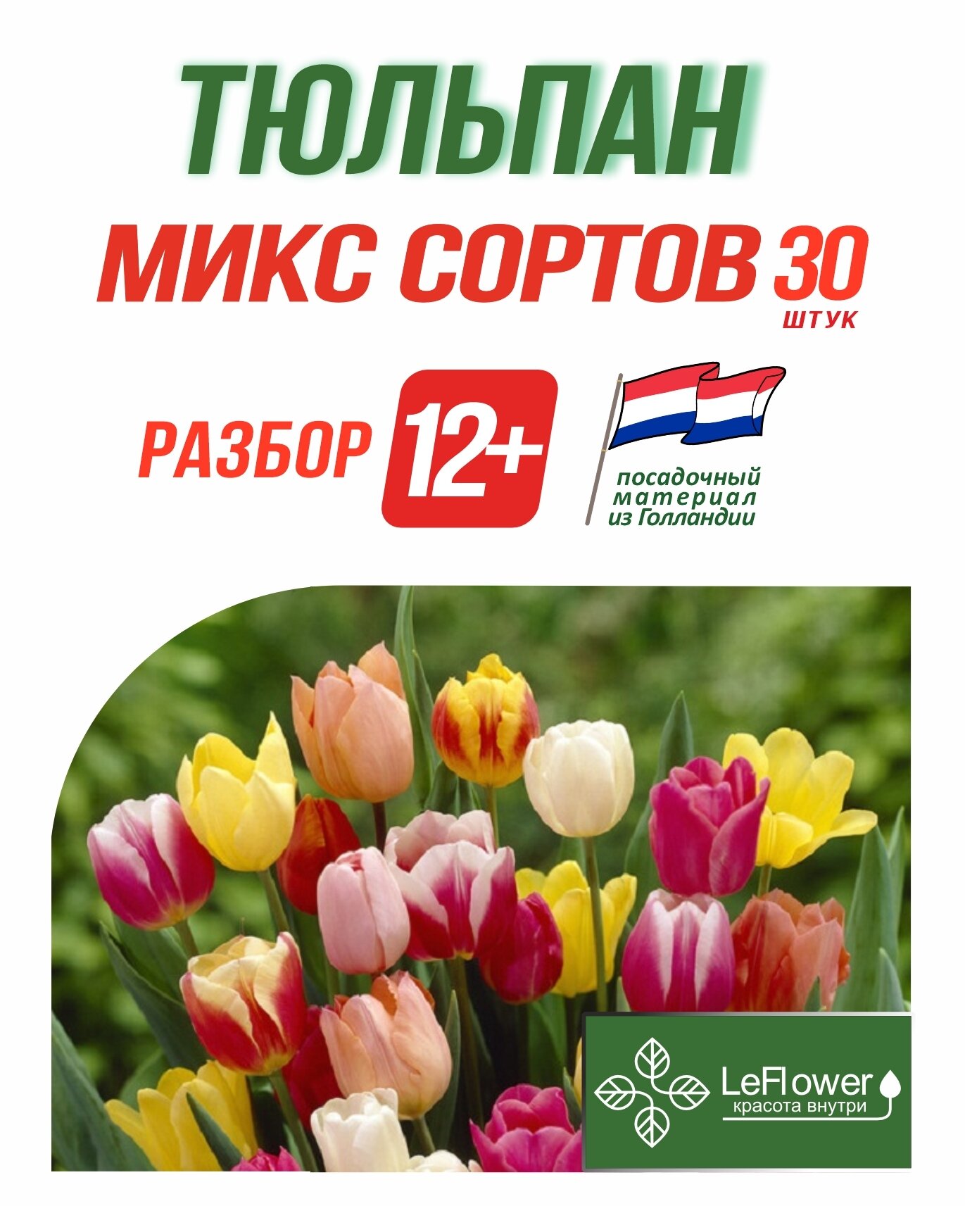 Тюльпан Луковица, Микс сортов 30 шт, разбор 12+ (LeFlower) - фотография № 1