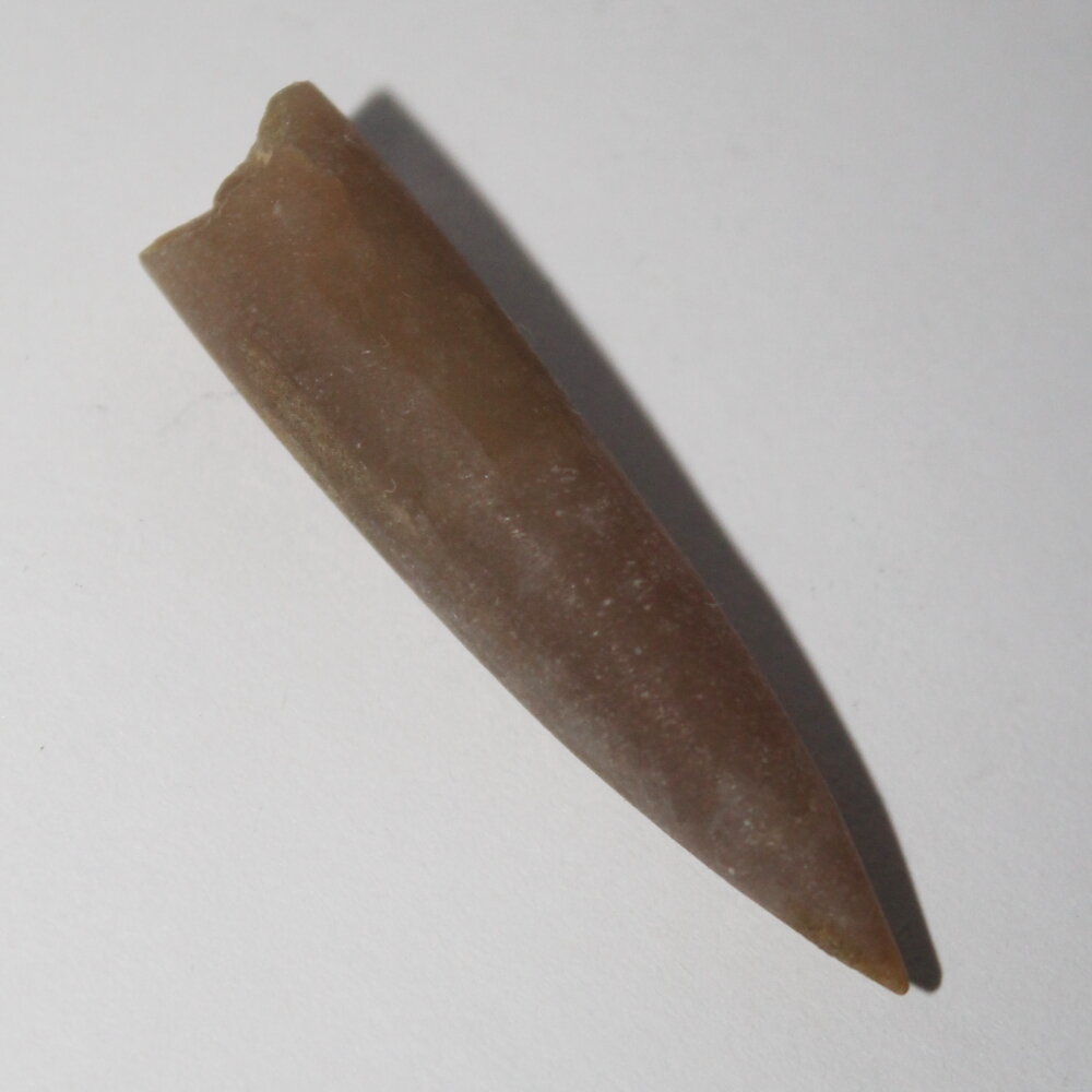 Белемнит ископаемое, коллекционный образец "True Stones" - фотография № 2