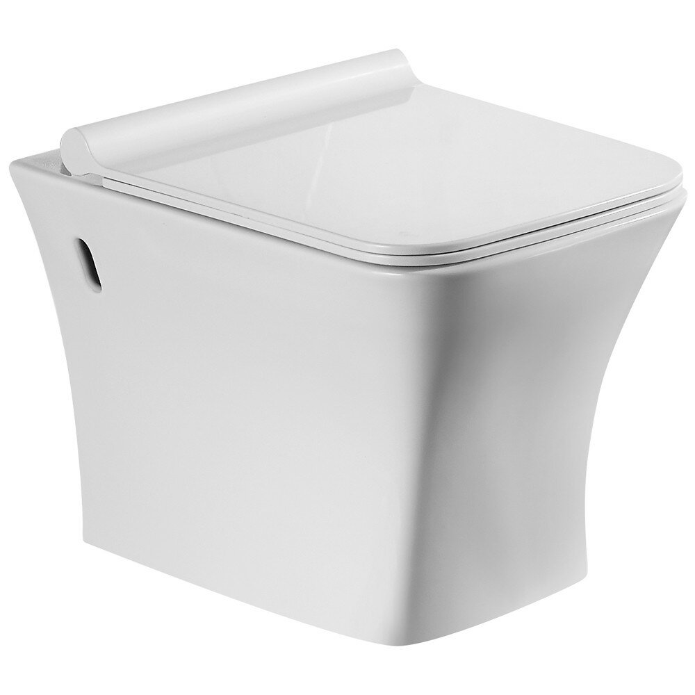 Унитаз подвесной CeramaLux TR2024 безободковый