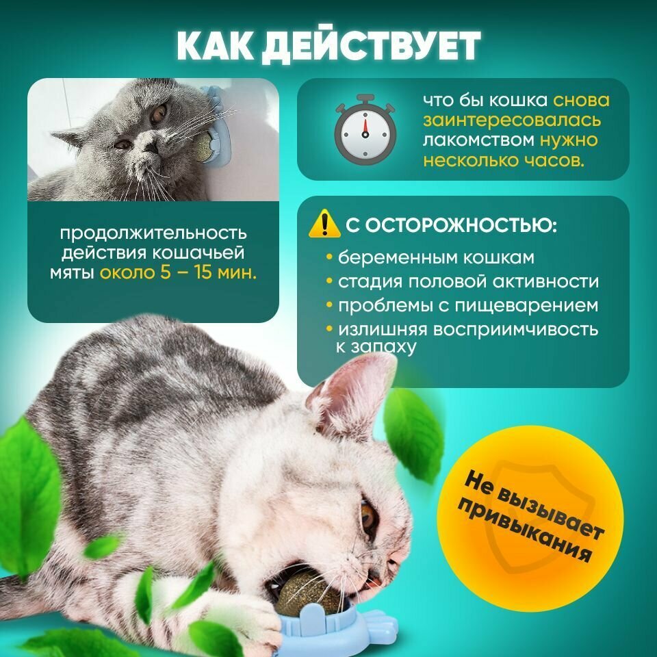 Кошачья мята шарик на стену / леденец для кошек и котят/игрушка для кошек/