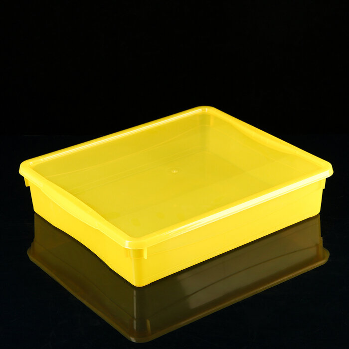 econova Ящик для хранения с крышкой «Колор. Стайл», 9 л, 40×34×8,5 см, цвет микс - фотография № 1