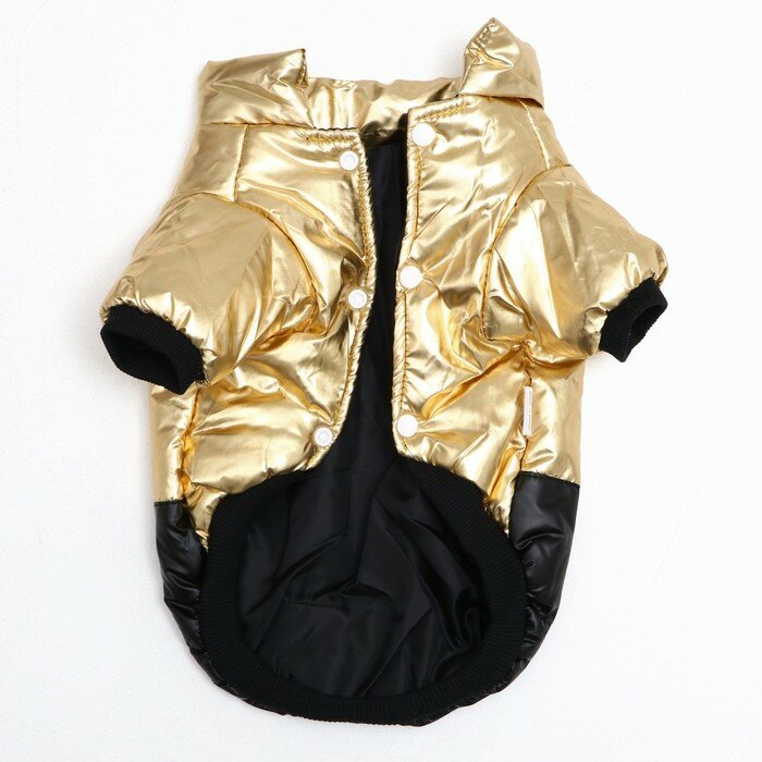 Куртка для собак "Космонавт", размер 14, чёрно-золотая (ДС 38, ОШ 32, ОГ 46 см) - фотография № 6