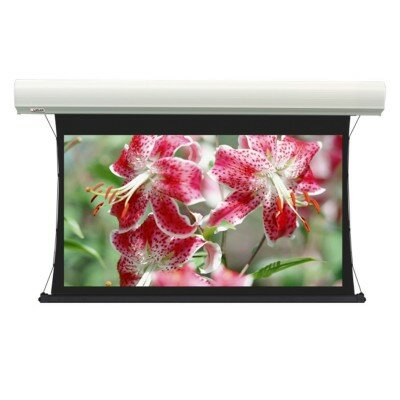 Экран для проектора Lumien Cinema Tensioned Control LCTC-100138