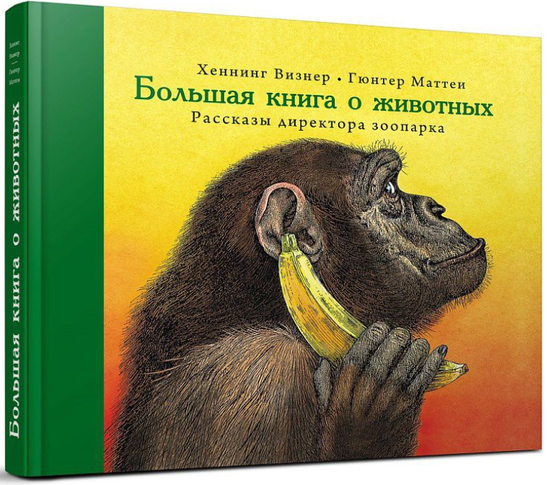 Большая книга о животных. Рассказы директора зоопарка - фото №1