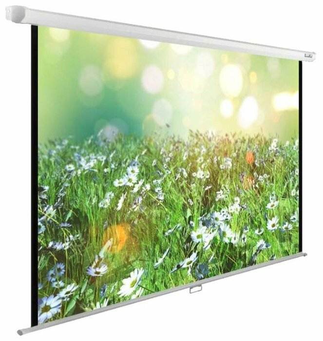 Экран Cactus 200x200см WallExpert CS-PSWE-200x200-WT 1:1, настенно-потолочный рулонный