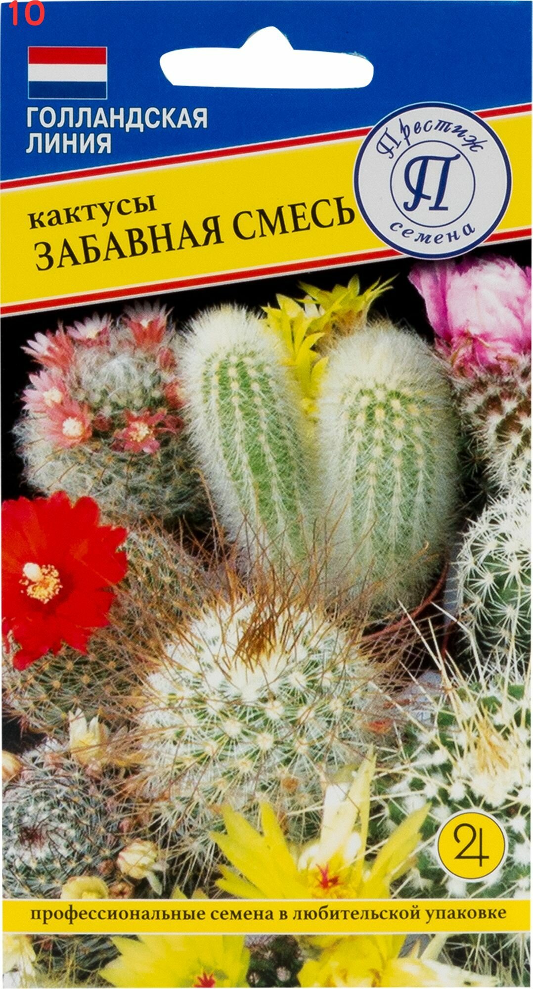 Кактусы Забавная смесь (10 шт.)