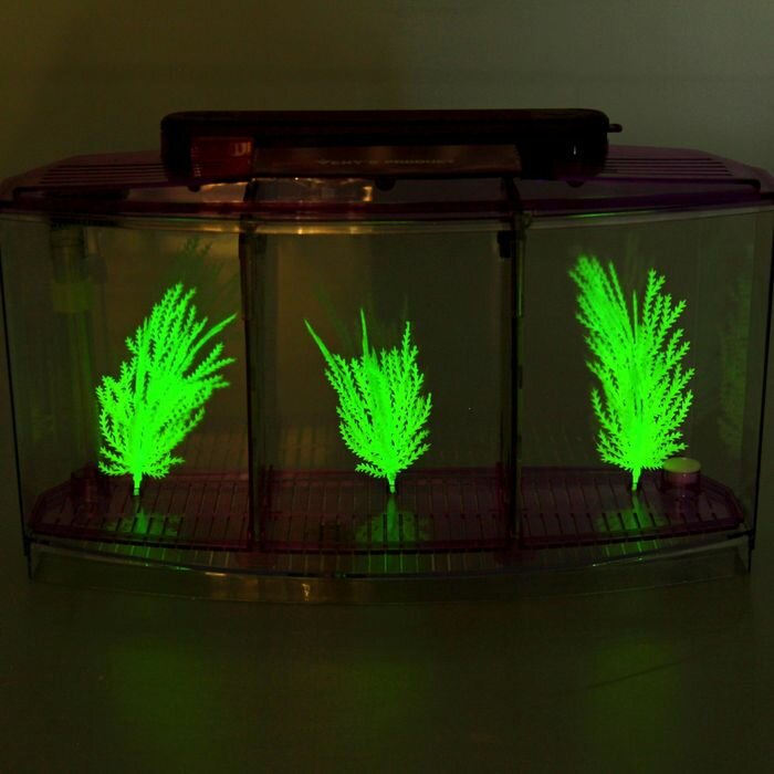 Аквариумный набор трехсекционный, с подсветкой LED, 2,55 л, фиолетовый - фотография № 4