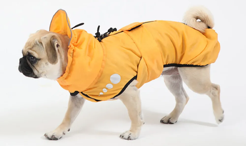 Дождевик Puppy Gallery для собак теплый желтый L - фотография № 1