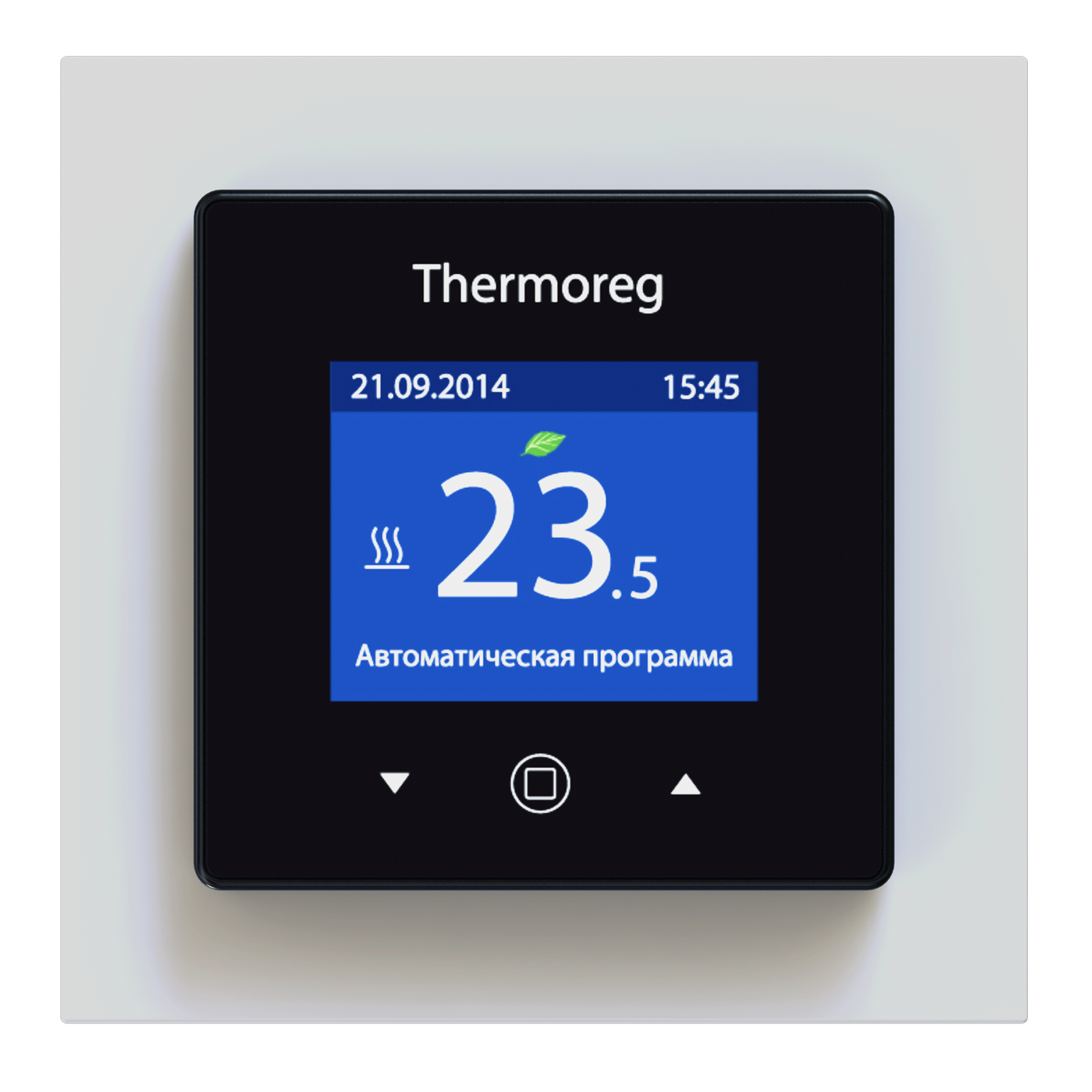 Терморегуляторы Thermoreg Thermo Терморегулятор Thermoreg TI-970