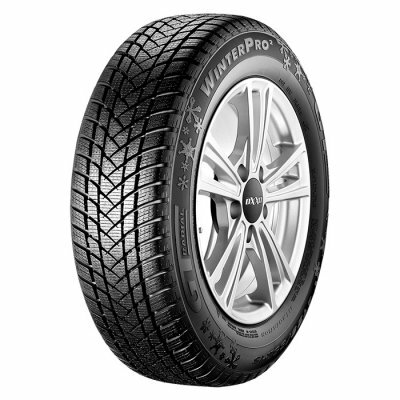 Автомобильные шины GT Radial WinterPro 2 205/55 R17 95H