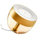 Умный свет Philips Hue Iris Gold (929002376401) - изображение