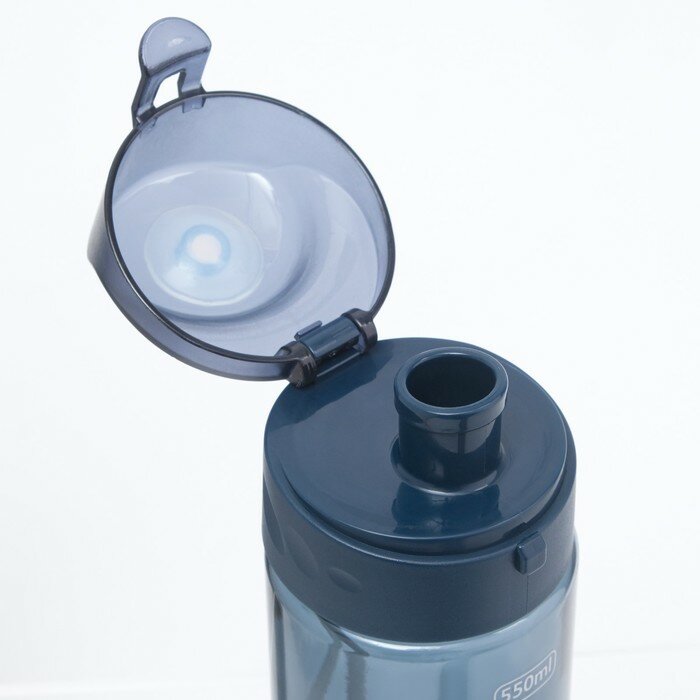 Бутылка для воды "Бриз", 550 мл, 57 х 36 х 43 см - фотография № 5