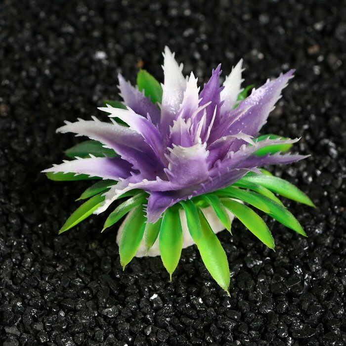 Растение аквариумное Пижон Аква искусственное, 11х9х6 см, фиолетовое, 2 шт - фотография № 3