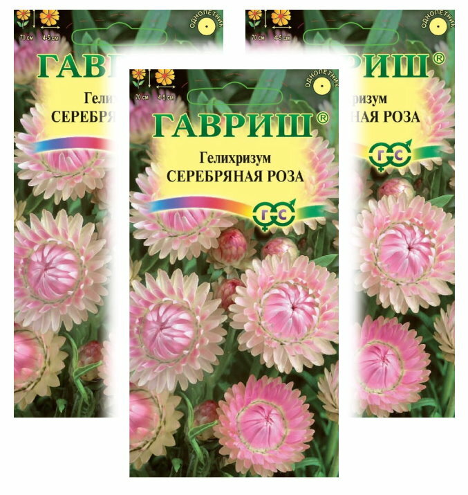Комплект семян Гелихризум Серебряная роза х 3 шт.
