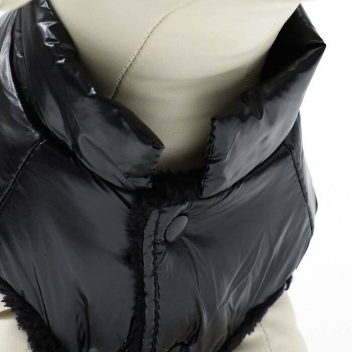 Куртка для собак "Блеск", S (ДС 25, ОГ 37, ОШ 24 см, до 5 кг), чёрная - фотография № 5