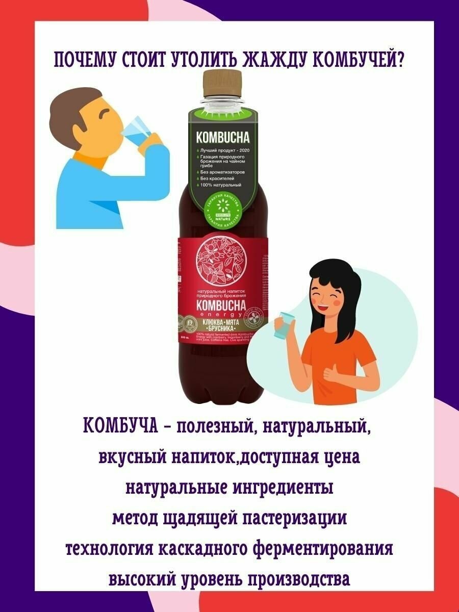KOMBUCHA Напиток с соком ягод и мяты, 12шт/0.555л - фотография № 5