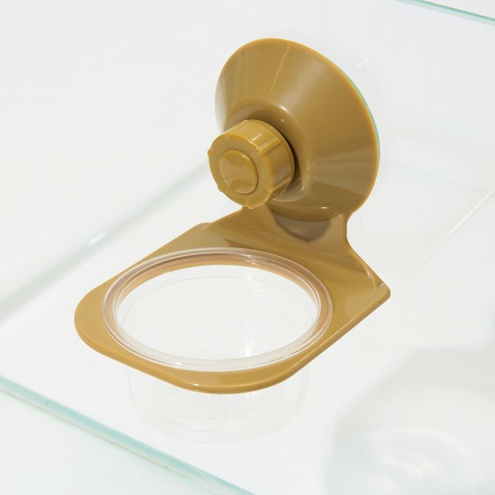 Кормушка NomoyPet для террариума на присоске, 7,5 х 11 см - фотография № 3