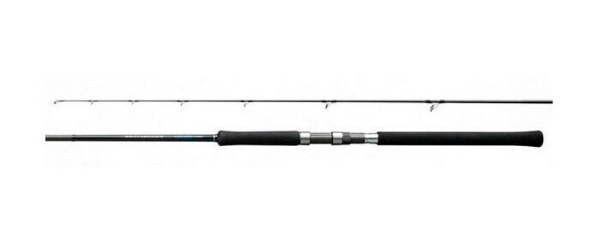 Спиннинг Shimano - 19SALTY AD SHORE J 96MH