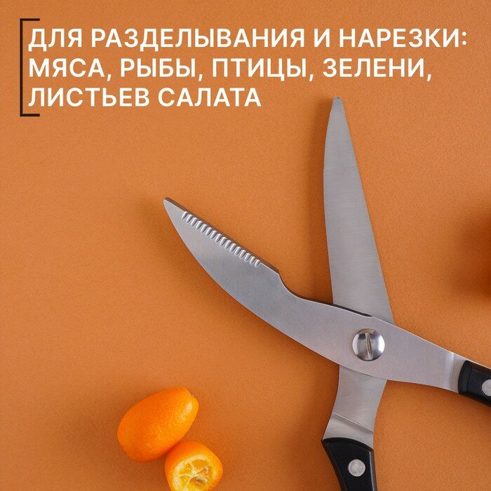 Ножницы кухонные Доляна «Профи», 25×4×1,5 см - фотография № 4