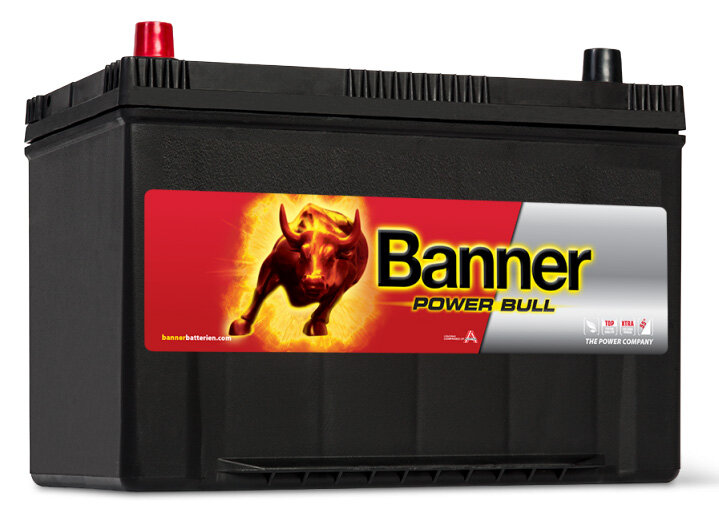 Аккумулятор автомобильный BANNER Power Bull P95 05 6СТ-95 прям. (105D31R) 306x173x225