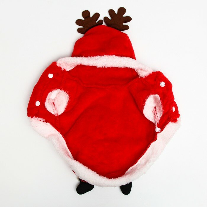 Куртка на кнопочках с меховой отделкой Santa, M (ДС 25, ОГ 37 см) - фотография № 6