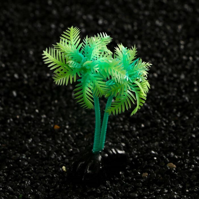 Растение искусственное аквариумное "Пальма", светящееся, 10 см, зелёное - фотография № 3