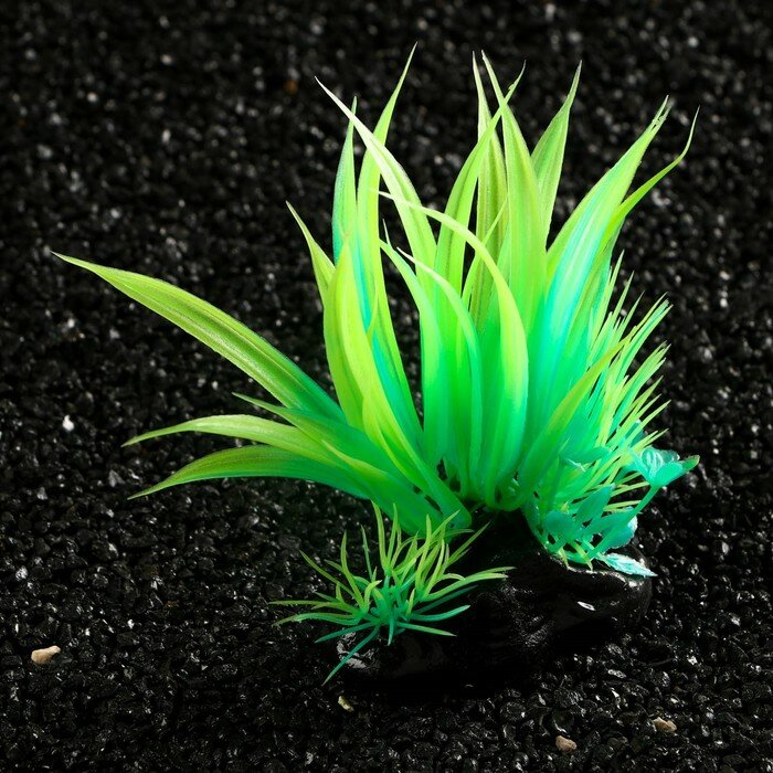 Растение искусственное аквариумное, светящееся, 10 см, зелёное - фотография № 3