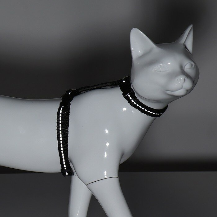 Шлейка для кошек, ширина 1 см, светоотражающий, ОШ 16,5-27 см, ОГ 21-35 см, чёрный - фотография № 6