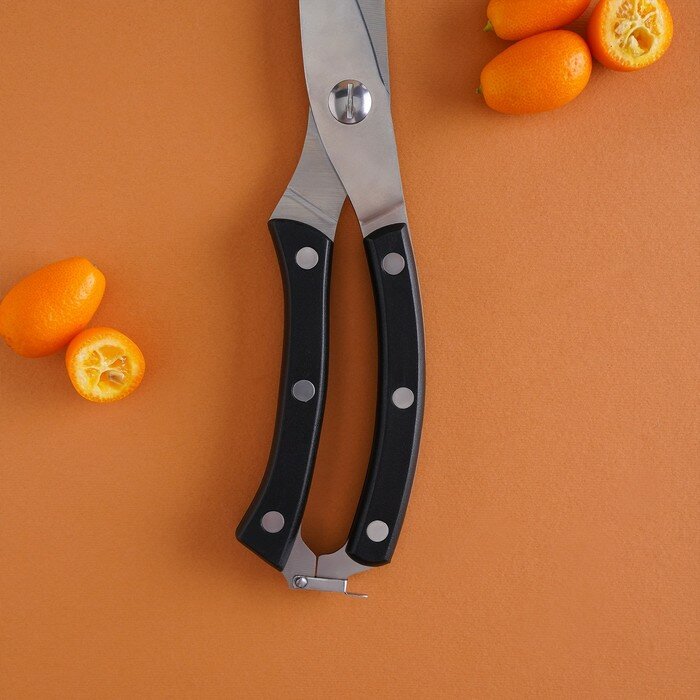 Ножницы кухонные Доляна «Профи», 25×4×1,5 см - фотография № 5