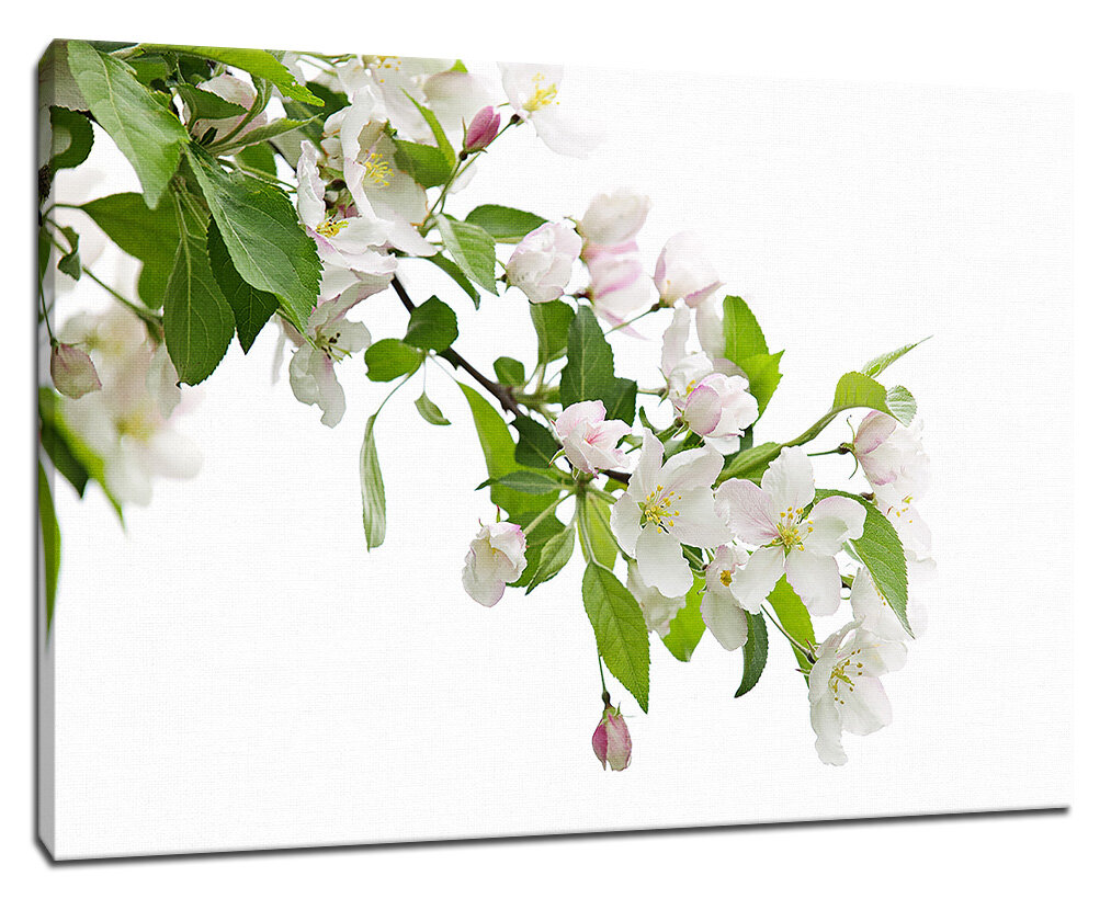 Картина Уютная стена "Ветка цветущей яблони на белом фоне" 90х60 см