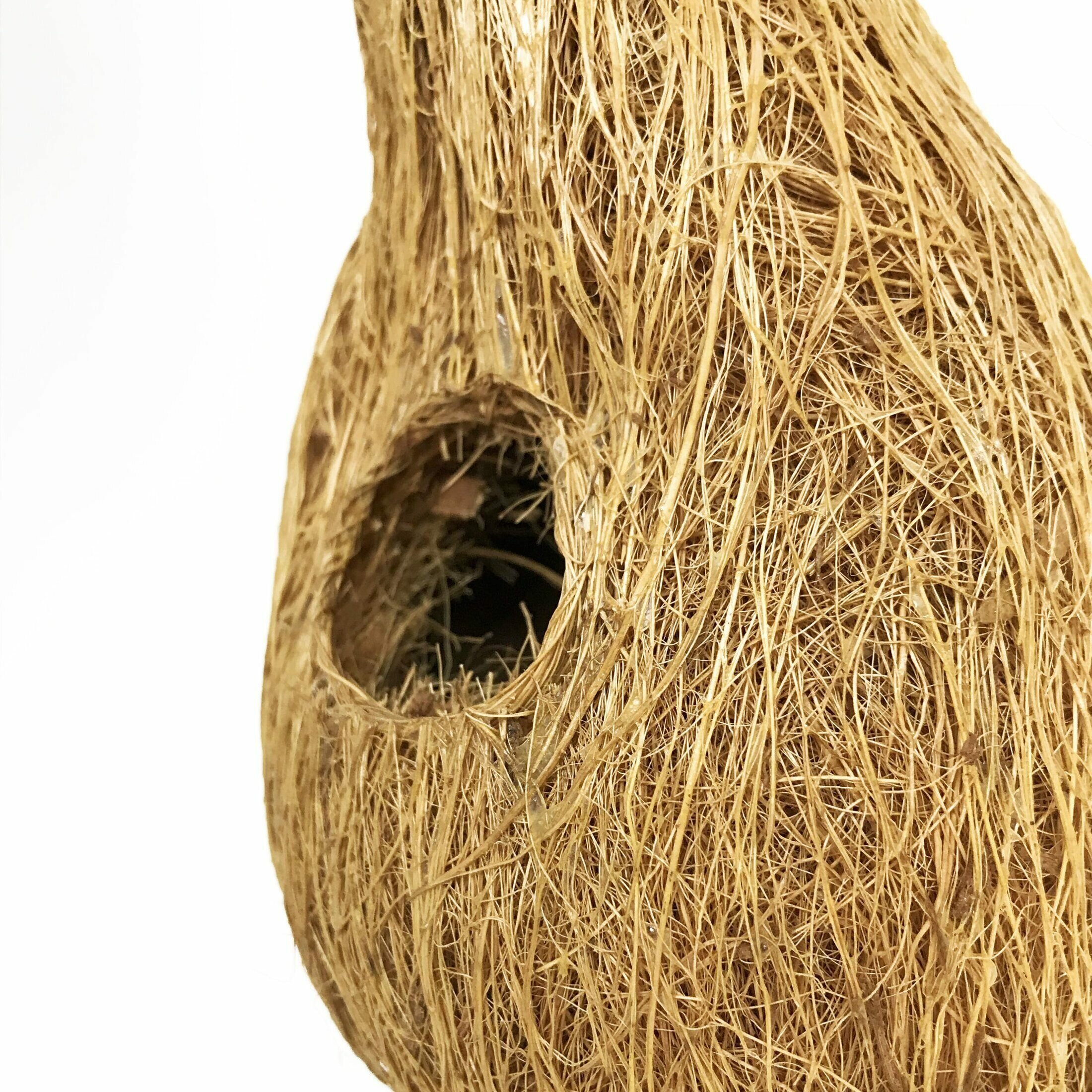 Кокосовое птичье гнездо «Fibre Family» среднее - фотография № 3