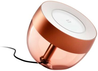 Умный свет Philips Hue Iris Copper (929002376801)