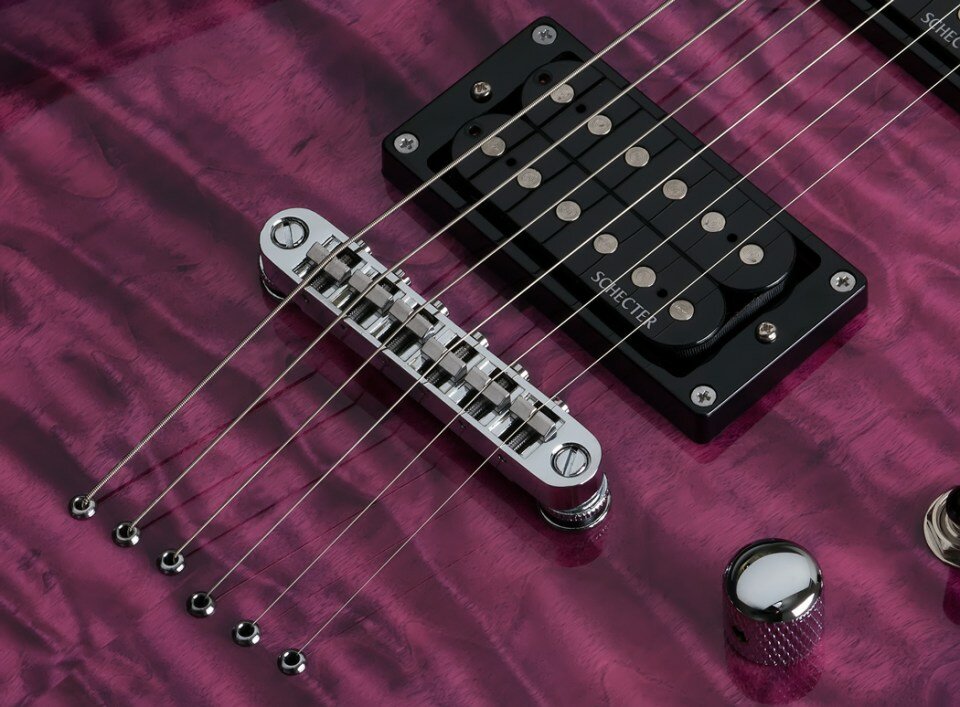 Schecter C-6 PLUS EM - электрогитара