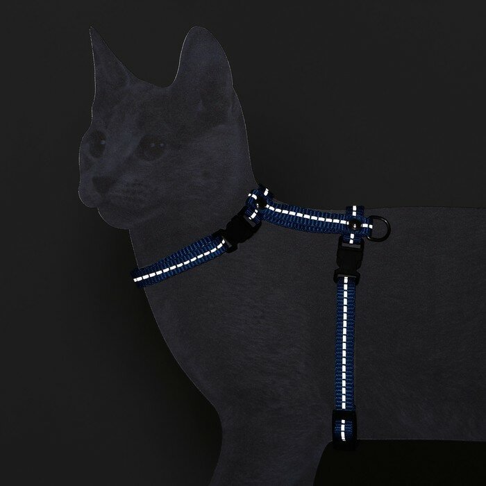 Шлейка для кошек, ширина 1 см, светоотражающий, ОШ 16,5-27 см, ОГ 21-35 см, синий 9228256 - фотография № 3