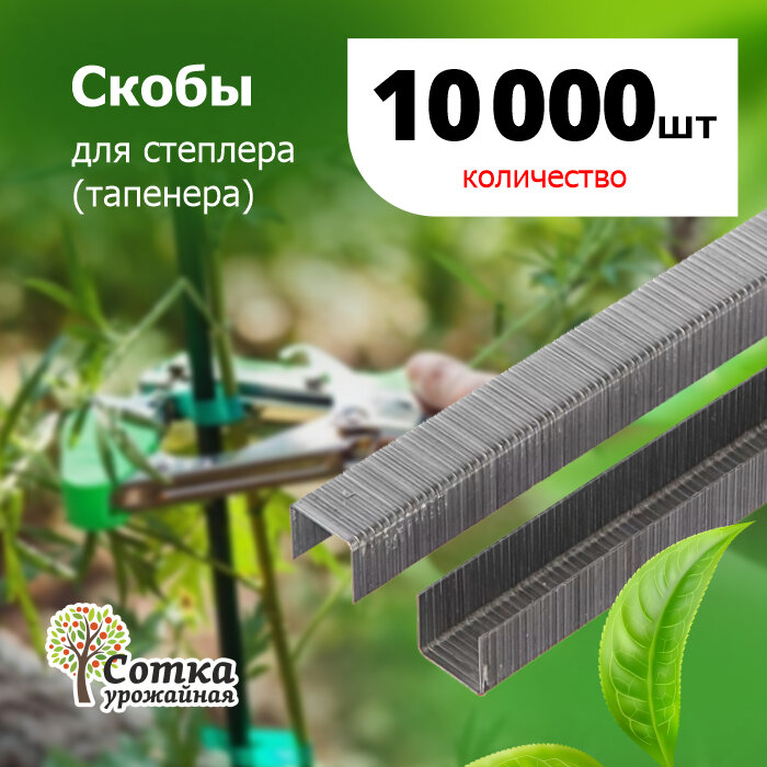 Скобы для степлера (тапенера) 'Урожайная сотка' 10 000 шт SC-8901