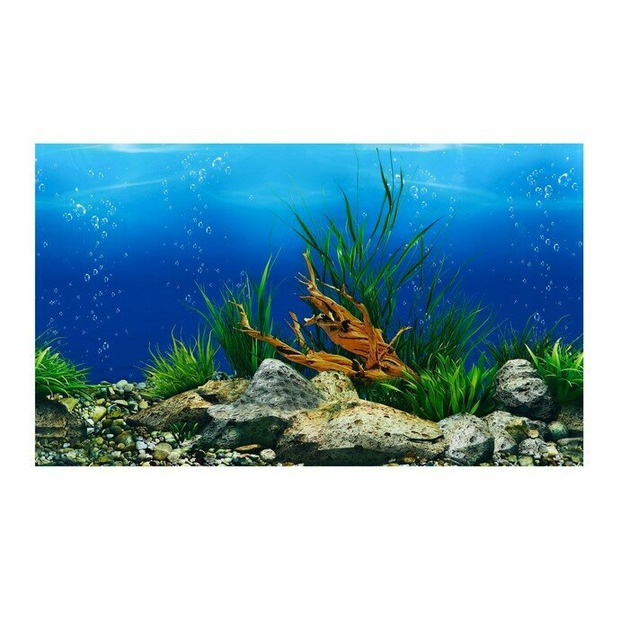Фон для аквариума двухсторонний, 50 см, рулон 15 м - фотография № 3