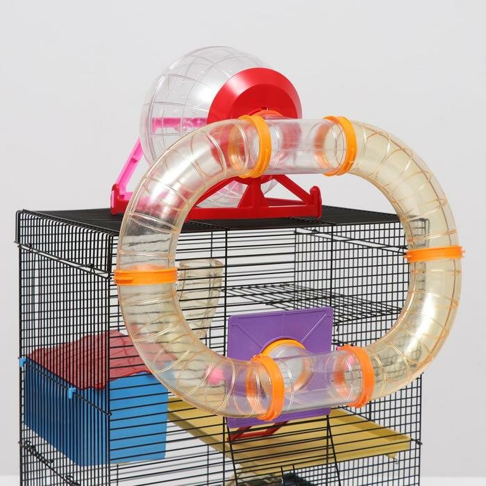 Клетка для грызунов трехярусная с лабиринтом и колесом, 39 x 29 х 64 см, микс цветов - фотография № 5