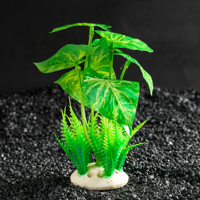 Пижон Аква Растение искусственное аквариумное, 11,5 х 11,5 х 14,5 см - фотография № 2
