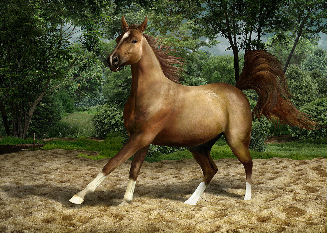 Декоративное панно Танцующая лошадь