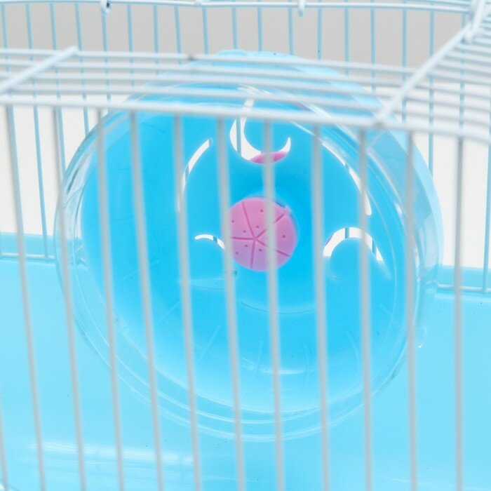 Пижон Клетка для грызунов "Пижон", 23 х 17 х 17 см, голубая - фотография № 5