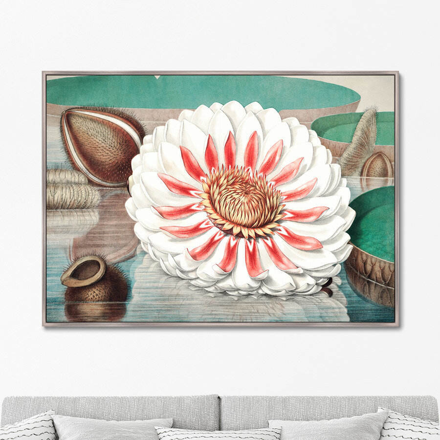 Репродукция картины на холсте A gigantic water lily in bloom, 1870г. Размер картины: 75х105см