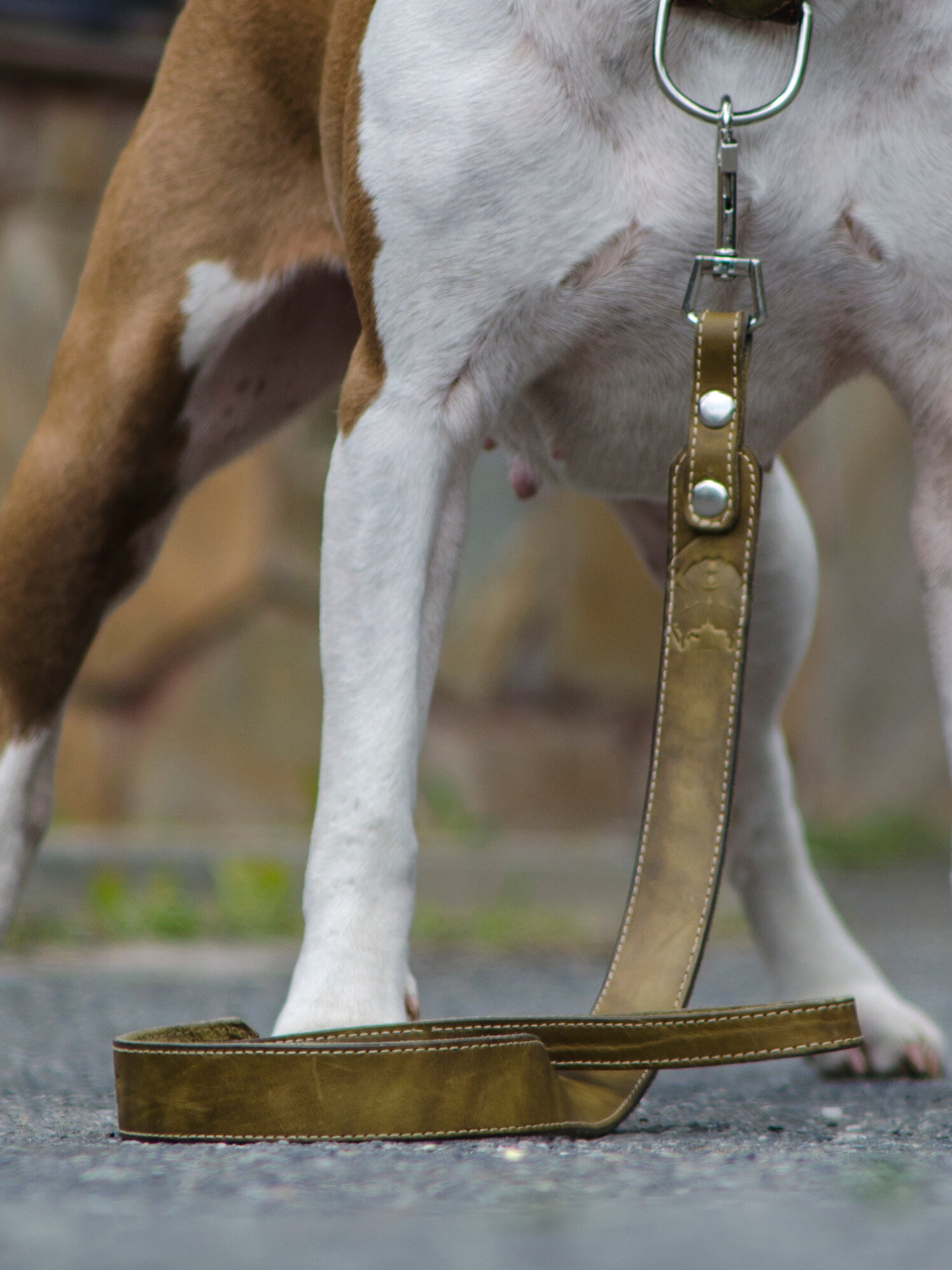 Прочный надежный качественный поводок ручной работы для средних и крупных пород собак модель Лента