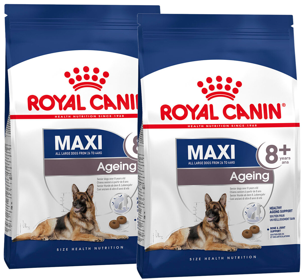 Сухой корм ROYAL CANIN MAXI AGEING 8+ для пожилых собак крупных пород старше 8 лет (3 + 3 кг)