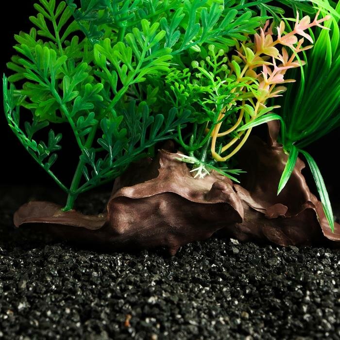 Растение искусственное аквариумное на платформе в виде коряги, 18 см, зелёное - фотография № 3