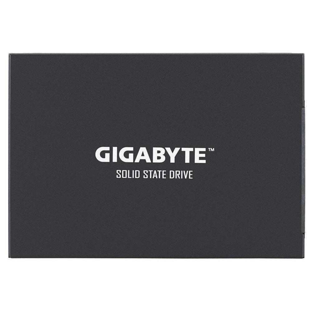 Накопитель SSD GigaByte 120Gb (GP-GSTFS31120GNTD)