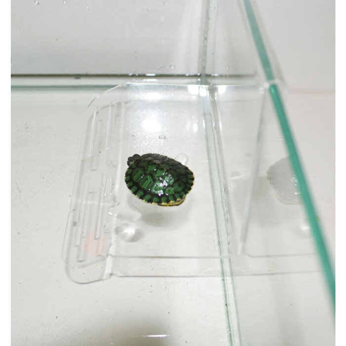 Данко-ЗОО Плот для черепах пластиковый, на стенку, малый, 10 х 15 х 9 см