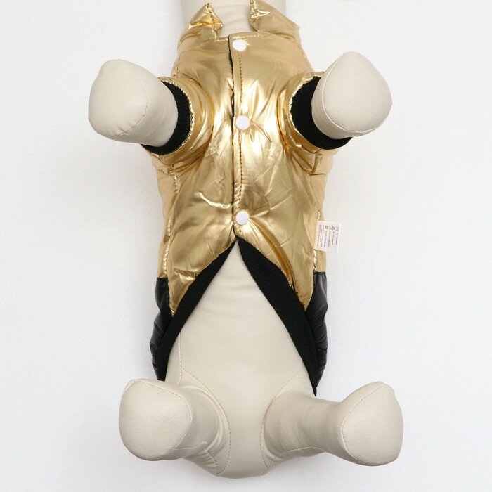 Куртка для собак "Космонавт", размер 14, чёрно-золотая (ДС 38, ОШ 32, ОГ 46 см) - фотография № 4