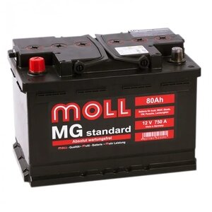 Аккумулятор Moll MG Standard 80 Ач 750А прям. пол.
