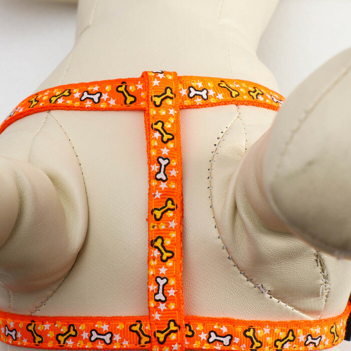 Пижон Комплект "Звездные косточки", ширина 1 см, поводок 120 см, шлейка 23-35 см, оранжевый - фотография № 3